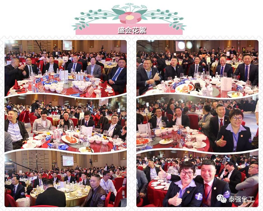 泰強(qiáng)化工受邀出席廣東湘楚川家居商會(huì)聯(lián)盟盛典暨2018迎春聯(lián)歡晚會(huì)(圖10)